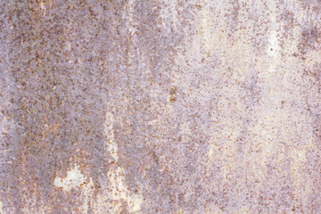 texture rusty metal wall of pink, white and purple