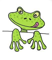 little frog - sketch by pencil on paper