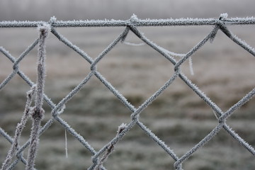 White frost on fence