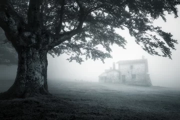 Küchenrückwand glas motiv mysterious house in foggy forest © mimadeo