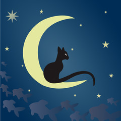 Obraz na płótnie Canvas Black cat on the moon