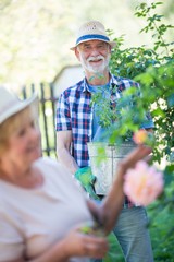 Senior man standing with pot plant in garden