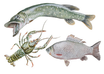 Set with canser and fish. Crucian. Pike.