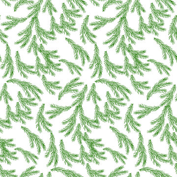 Floral seamless pattern with fir tree branches.