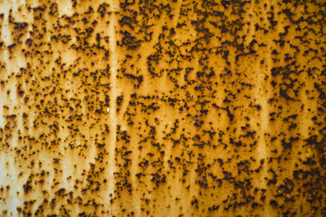 texture of metal wall with rust gold color