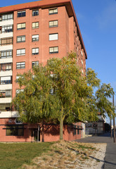 Jardines con árboles de otoño. 