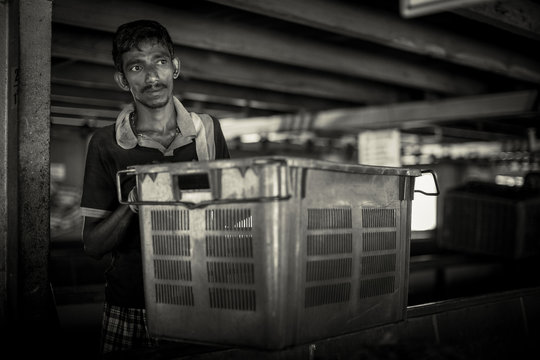 Tea Factory, Hindu Man Work Hard At Tea Factory In India