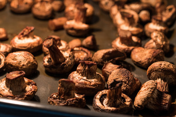 Baked mushrooms in the oven