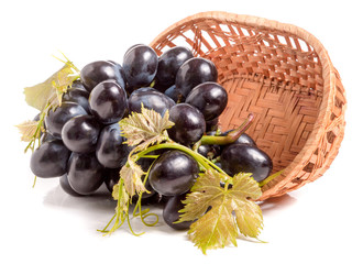 Blue grapes in a wicker basket isolated on white background