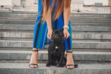 Black french bulldog puppy sitting on stairs between female legs