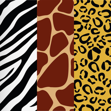 assorted animal print giraffe zebra leopard pattern image vector illustration design 