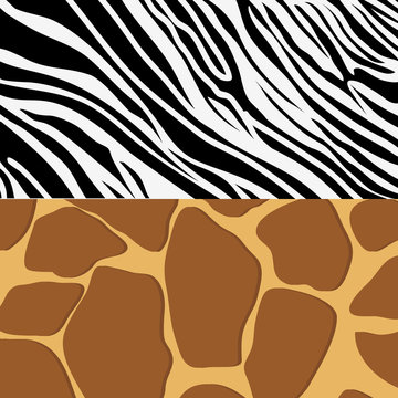 zebra and giraffe animal print pattern image vector illustration design 