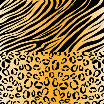 zebra and leopard animal print pattern image vector illustration design 