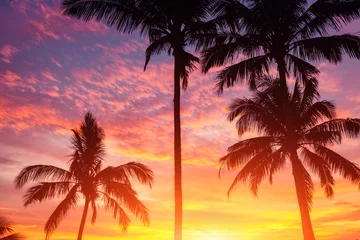 Fototapete Bäume Silhouette von Palmen bei Sonnenuntergang
