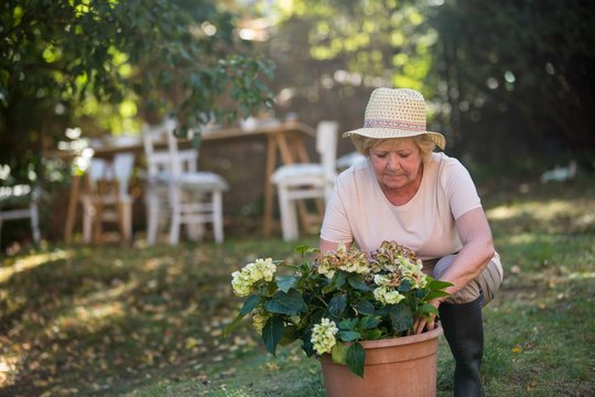 Senior woman carrying pot plant in garden