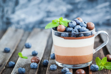 Delicious  three layered chocolate mousse dessert, decorated with fresh blueberry