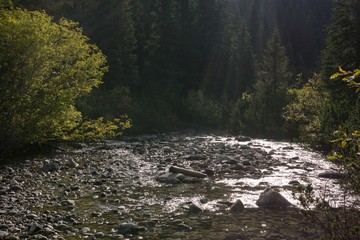 Water stream within stones in High Tatras mountains. Slovakia