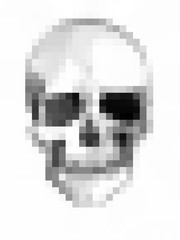Fototapeta na wymiar skull pixel art