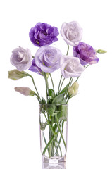 bunch of white and violet eustoma flowers in glass vase