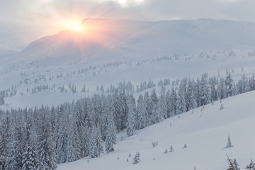 Obraz premium Ski lift with seats going over the mountain and paths from skies
