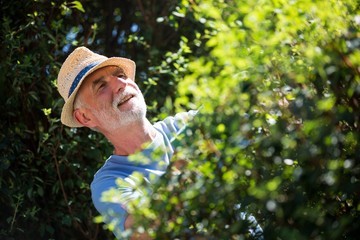 Senior man trimming plants with pruning shears