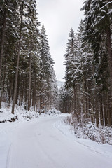 Winter landscape with the road