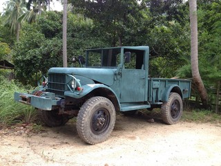 Fototapeta premium Truck in jungle