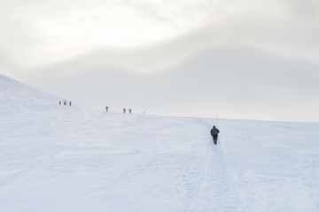 Fototapeta na wymiar group of hikers in winter mountains take path up to the peak