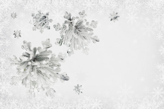 Snow-covered pine branches and snowflakes