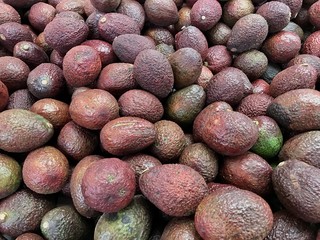 Brown skin ripe avocado heap full screen background