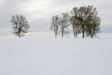 Fototapeta na wymiar snowy landscape