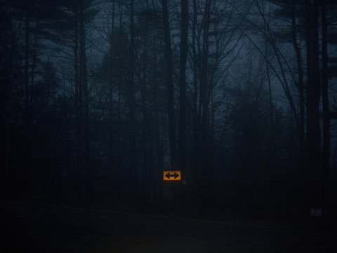 Country road at night with illuminated road sign