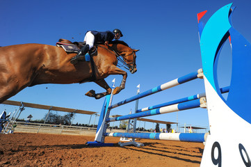 The bottom view on the rider on horse jumping over a hurdle during the equestrian event