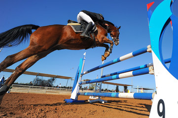 The bottom view on the rider on horse jumping over a hurdle during the equestrian event