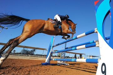 Rider on horse jumping over a hurdle during the equestrian event