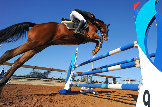The bottom view on the rider on horse jumping over a hurdle during the equestrian event