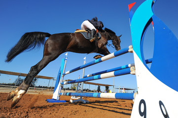 Rider on horse jumping over a hurdle during the equestrian event