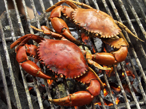 Crabs on a grill ready to eat.