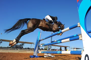 Photo sur Plexiglas Léquitation Rider on horse jumping over a hurdle during the equestrian event