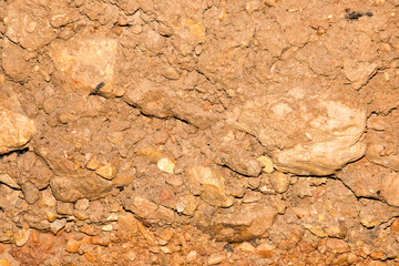 rock pattern background from sea in natural or park