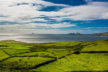 Malerische Landschaft an der K&uuml;ste von Irland