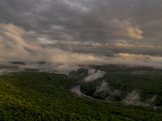 River running through dense trees, mist rising from trees