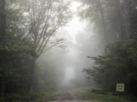 Dead end sign on misty dirt track in forest