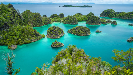 Painemo Island, Blue Lagoon, Raja Ampat, West Papua, Indonesia