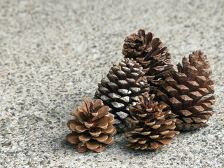 Pine cones on a textured background with space at left for message 