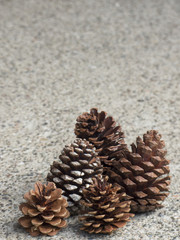 Pine cones on a textured background with space at top for message