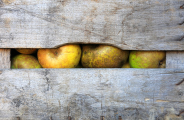 manzanas en cajas de madera país vasco  U84A0650-f16