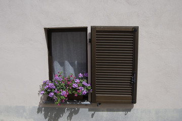 Fototapeta na wymiar Window with shutter and flowers in Europe