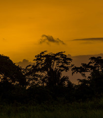 A beautiful sunset in the Delta of the Orinoco - Venezuela, Latin America