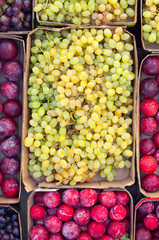 Assorted fruits at farmers market.